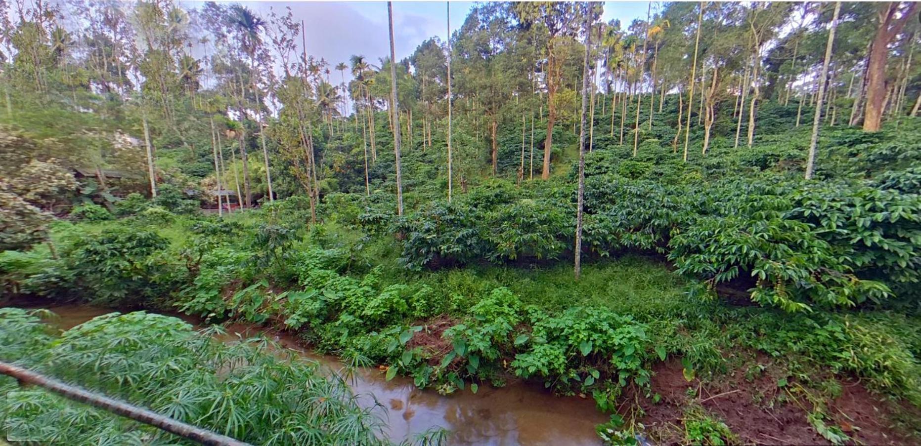 Wayanad Royal Stream Bed & Breakfast กัลปัตตา ภายนอก รูปภาพ
