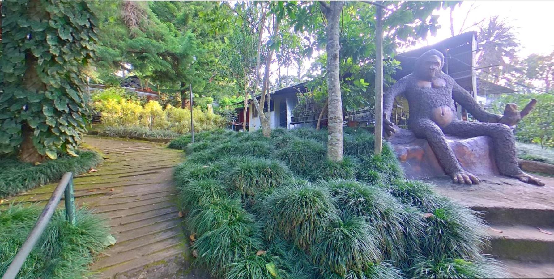 Wayanad Royal Stream Bed & Breakfast กัลปัตตา ภายนอก รูปภาพ