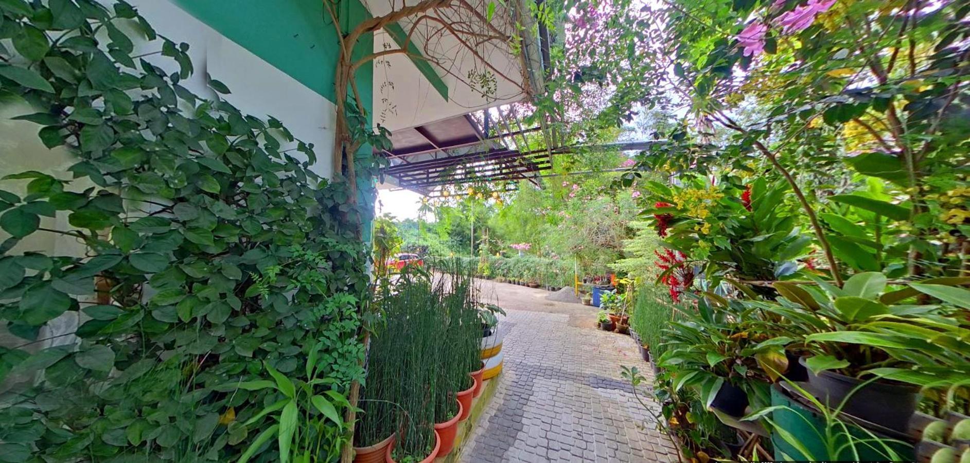 Wayanad Royal Stream Bed & Breakfast กัลปัตตา ภายนอก รูปภาพ