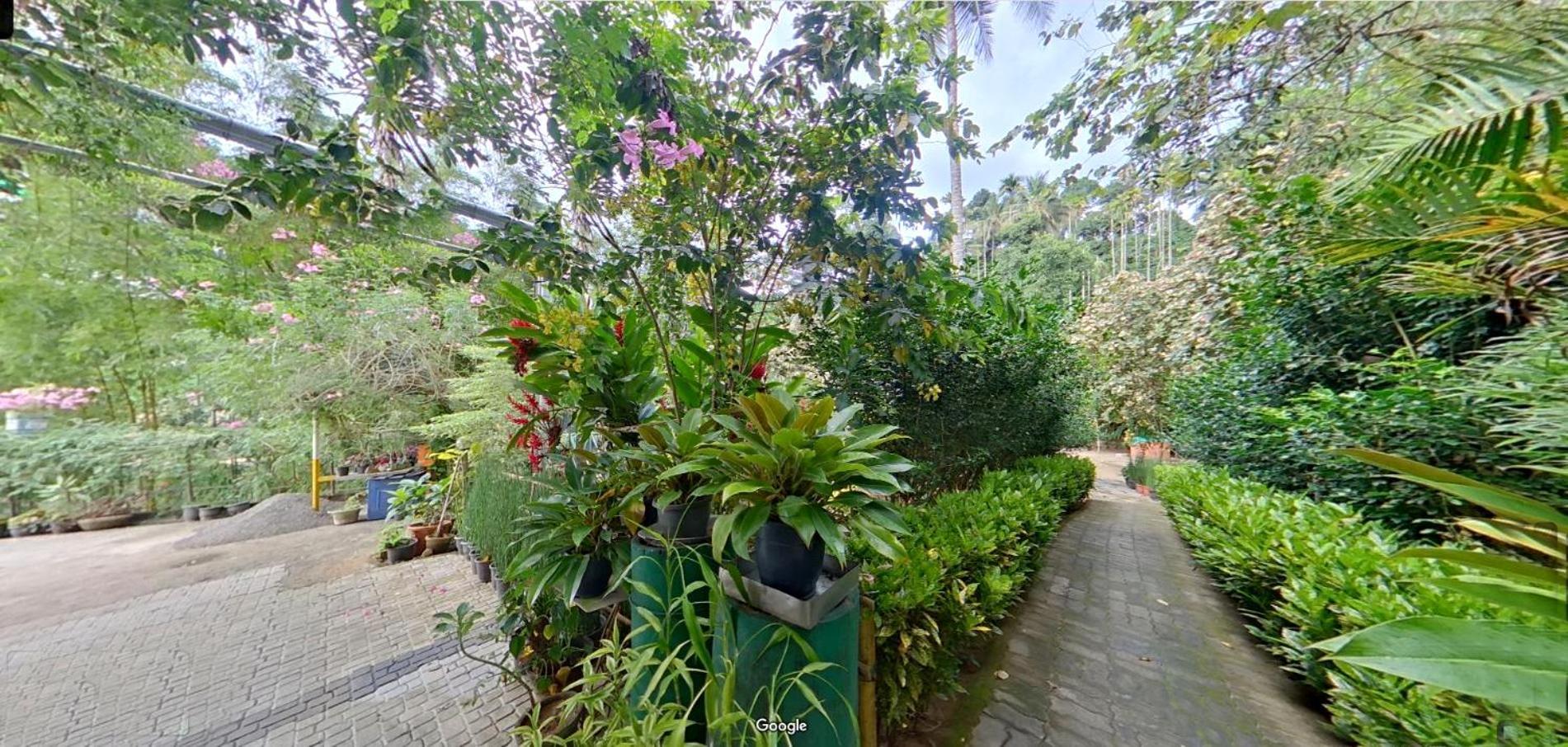 Wayanad Royal Stream Bed & Breakfast กัลปัตตา ภายนอก รูปภาพ